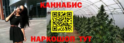 прущие грибы Балаково