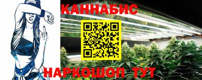 прущие грибы Балаково